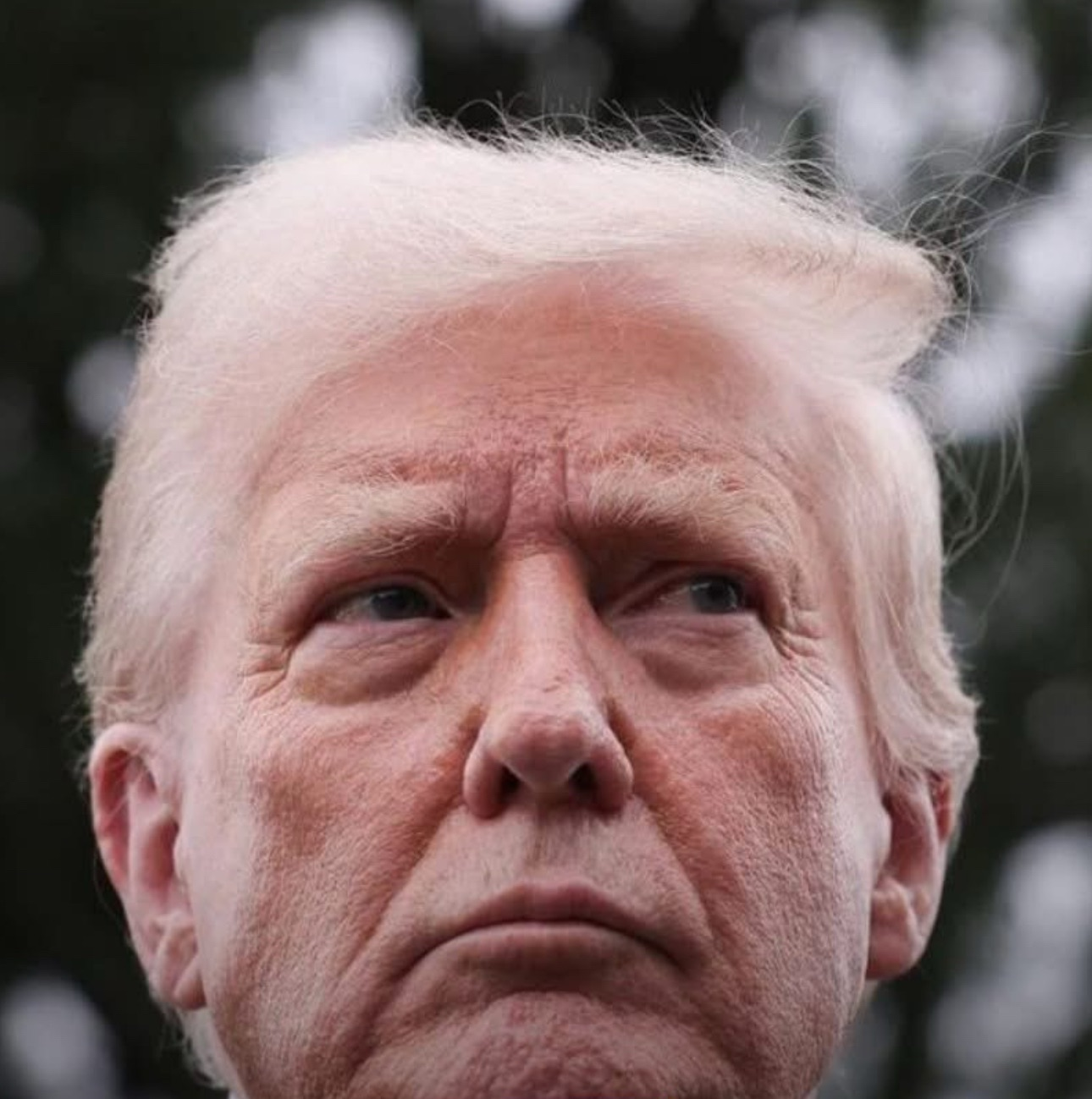 Trump Approval Rating Jumps Double Digits With Hispanics in a Month: Polls