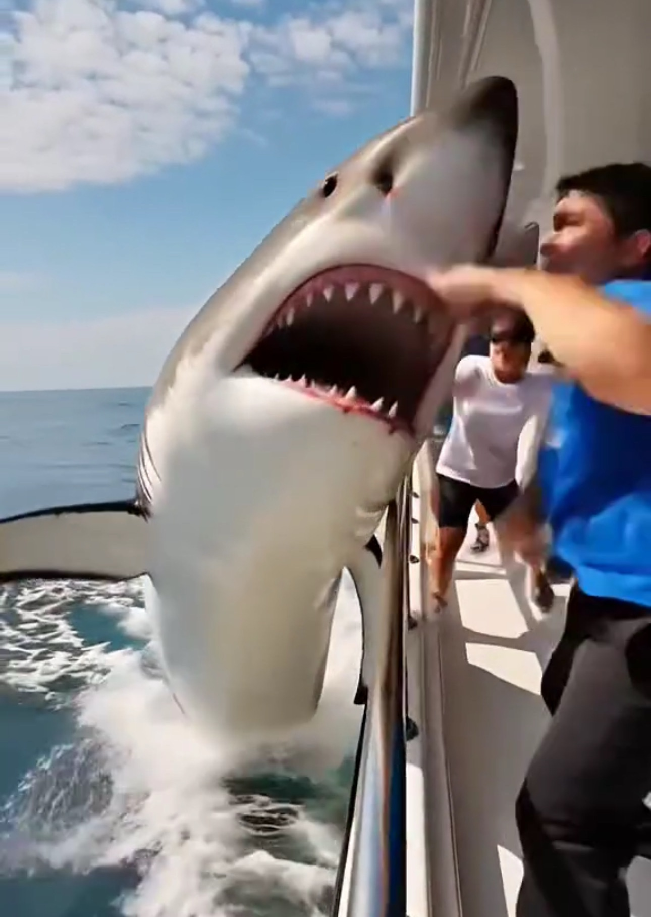 DEADLY ATTACK AT SEA – SHARK SAVAGELY MAULS PEOPLE ON BOAT