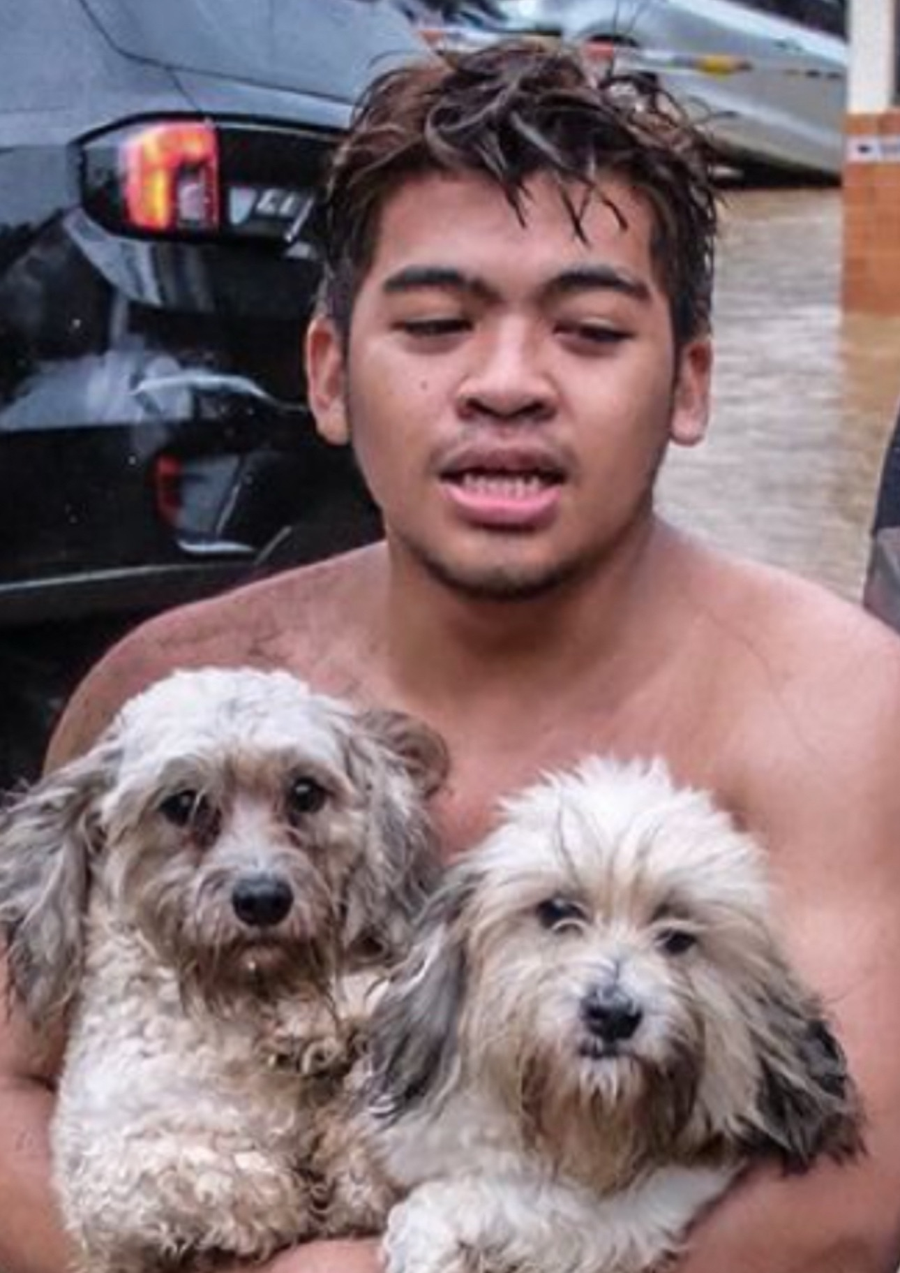 American hero Jake saved the Maltese dogs Bella and Snow from the raging flood